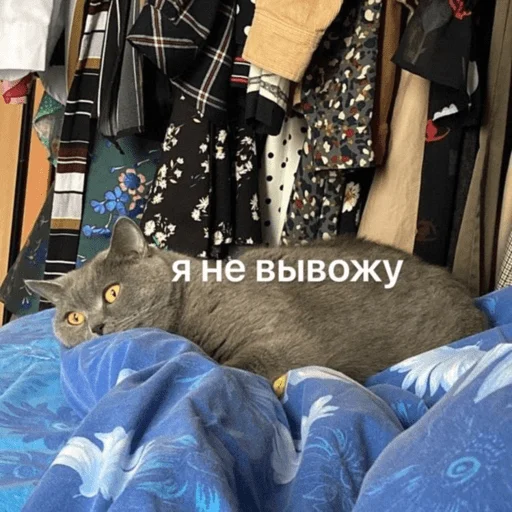 Стикер Это почти конец - 5