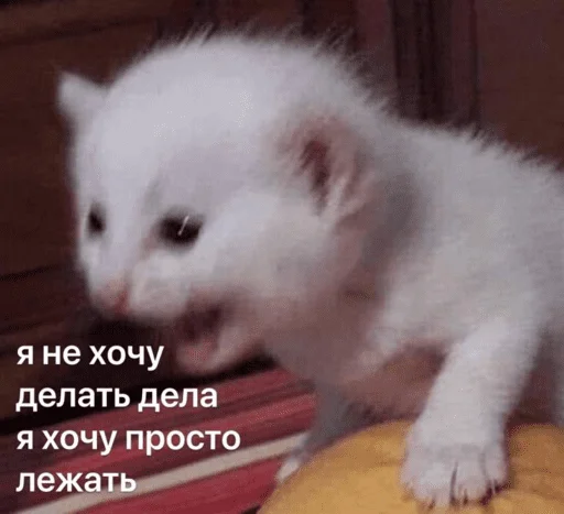 Стикер Это почти конец - 4