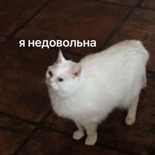 Стикер Это почти конец - 3