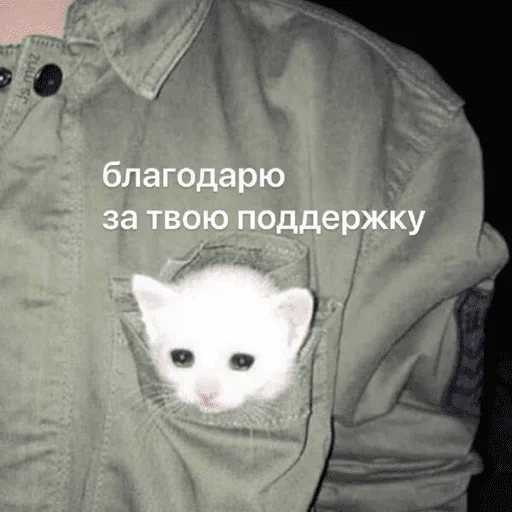 Стикер Это почти конец - 1