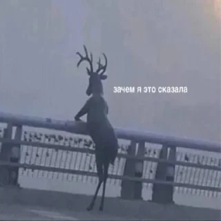 Стикер Пакет с пакетами - 4