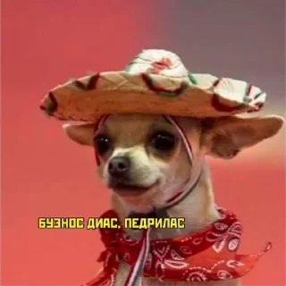 Стикер Пакет с пакетами - 9