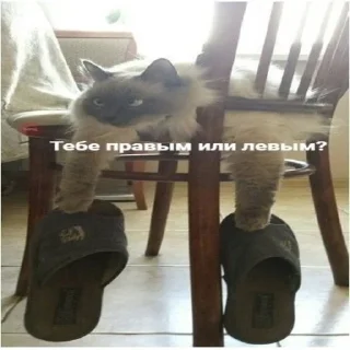 Стикер Пакет с пакетами - 0