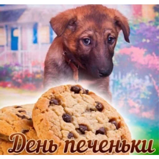 dog animal baked goods