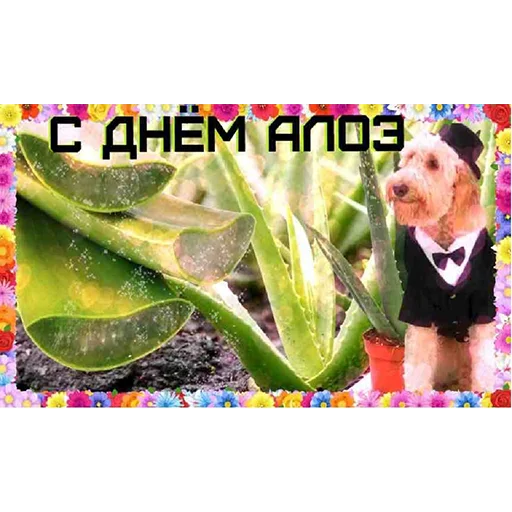 text human face smile