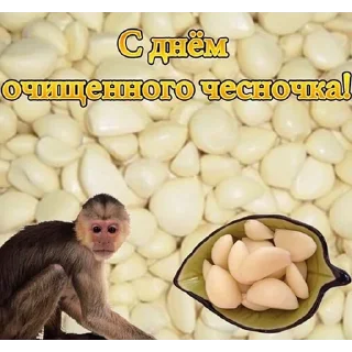 эти дни by @jqofa - animal