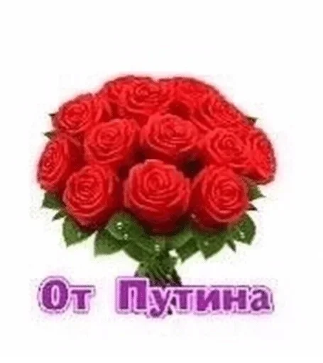 цветок растение СМС