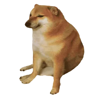 Стикер рандомная рандомщина - 2