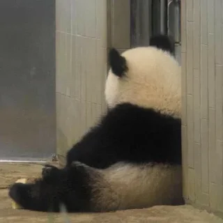 Стикер Абаббляблалб - 4