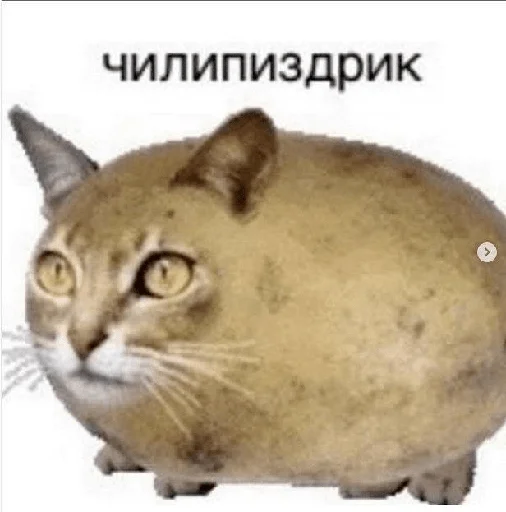 Sticker three_dubka - 1