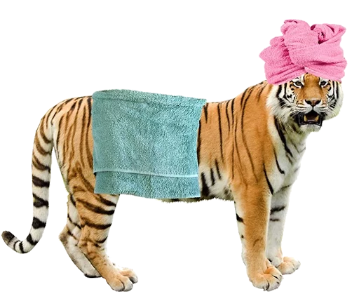 Sticker tigerness - 1