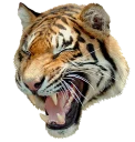 Sticker tigger - 4
