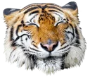 Sticker tigger - 5