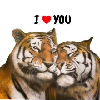 Sticker Tigers love - 8