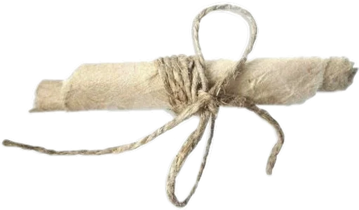 invertebrate animal art