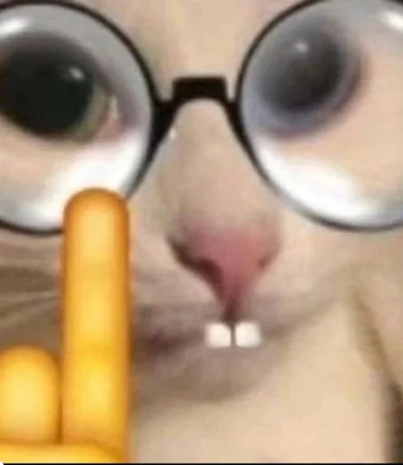 аксессуар Очки комнатный