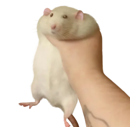 Sticker Блять - 8