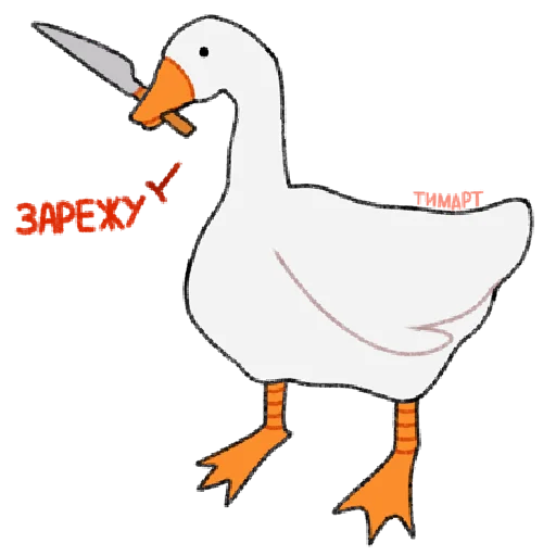 bird animal aquatic bird