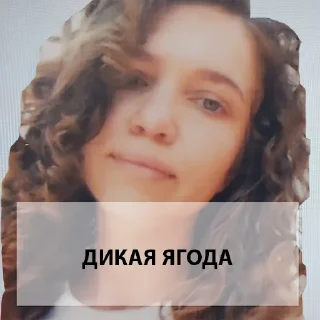 Стикер team_rti - 6