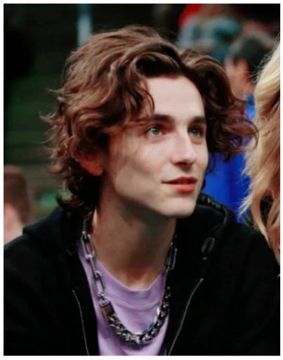 timothée chalamet - 
