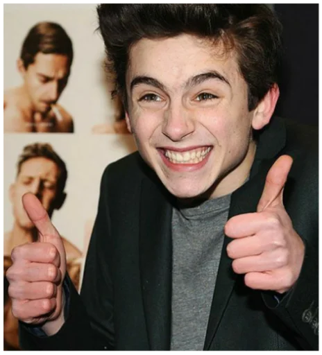 Sticker timothée chalamet - 10