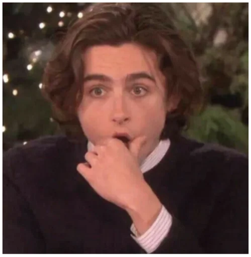 Sticker timothée chalamet - 9