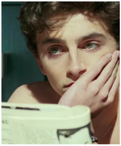 Sticker timothée chalamet - 8