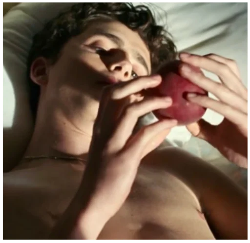 Sticker timothée chalamet - 7