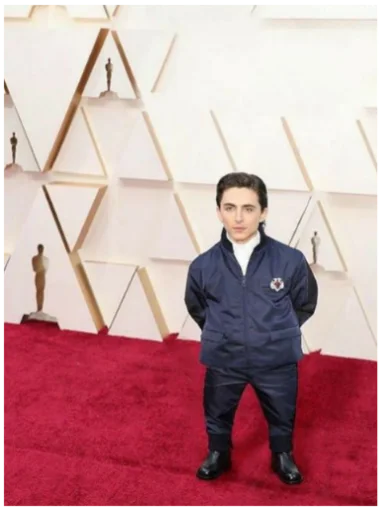 Sticker timothée chalamet - 6