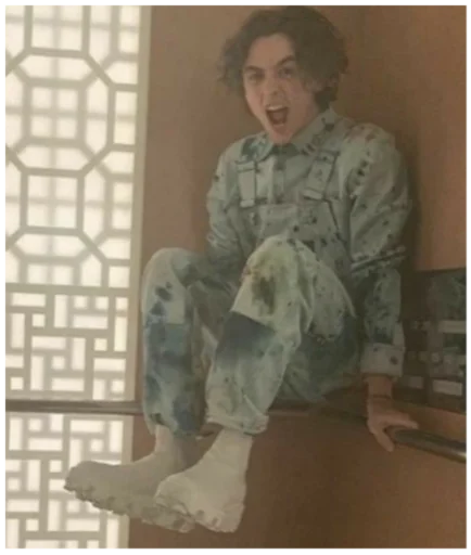 Sticker timothée chalamet - 5