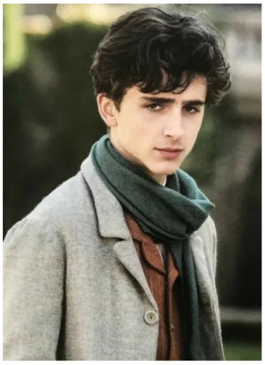 Sticker timothée chalamet - 4