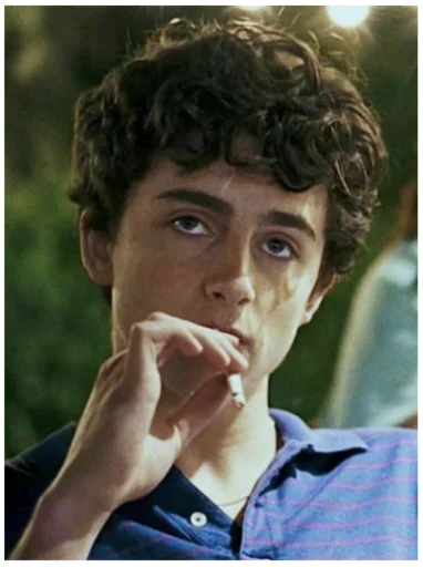 Sticker timothée chalamet - 3