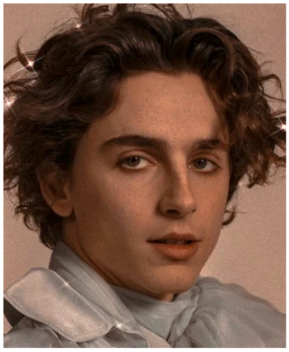 Sticker timothée chalamet - 2