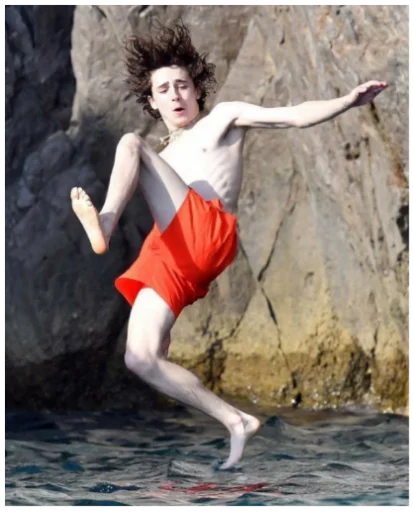 Sticker timothée chalamet - 0