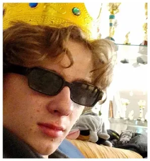 Стикер тимося на госуслугах - 0