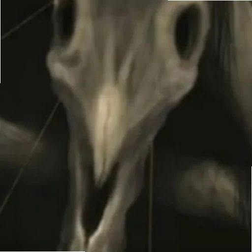 Sticker прочитал? поздравляю тебе осталось жить 1 день - 2