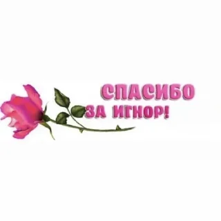 Sticker тимурка битс
@yeatt1 - 6