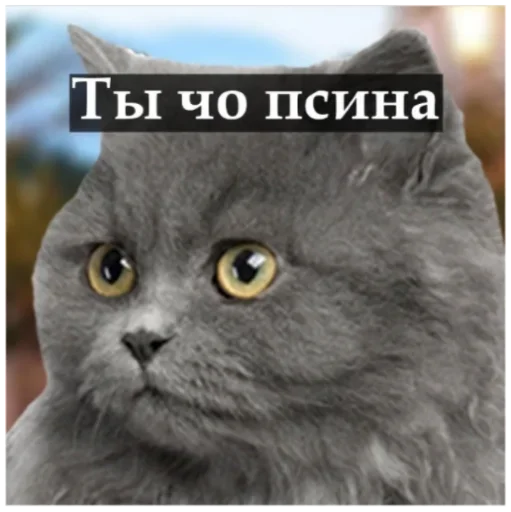 Стикер АБГДИЁЖ by @fStikBot - 11