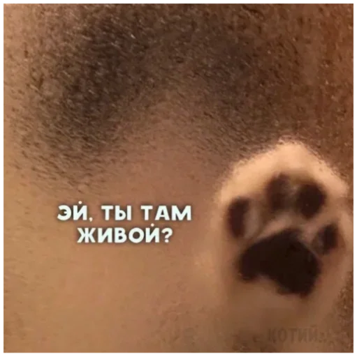 Стикер АБГДИЁЖ by @fStikBot - 8