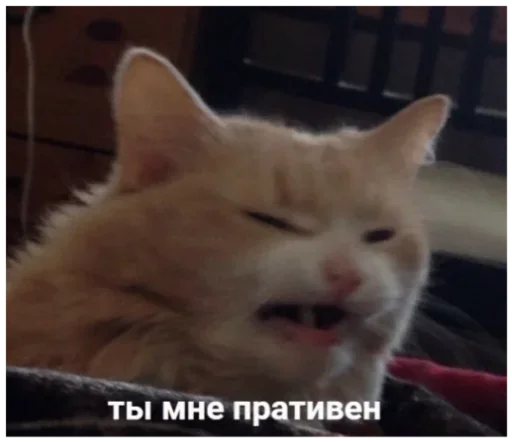 Стикер АБГДИЁЖ by @fStikBot - 2