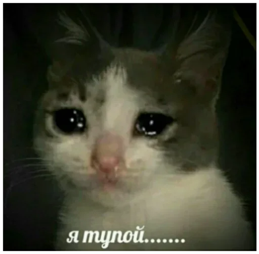 Стикер АБГДИЁЖ by @fStikBot - 1