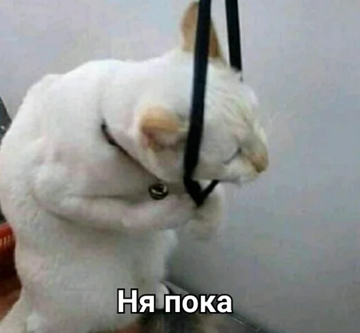 Стикер АБГДИЁЖ by @fStikBot - 0