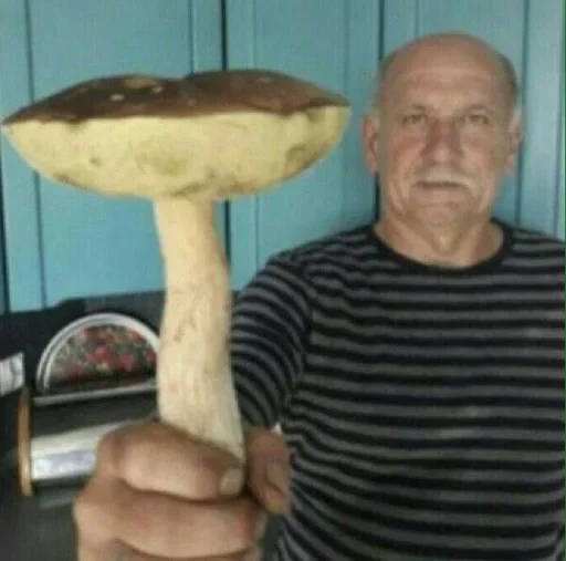 Человек гриб съедобный гриб