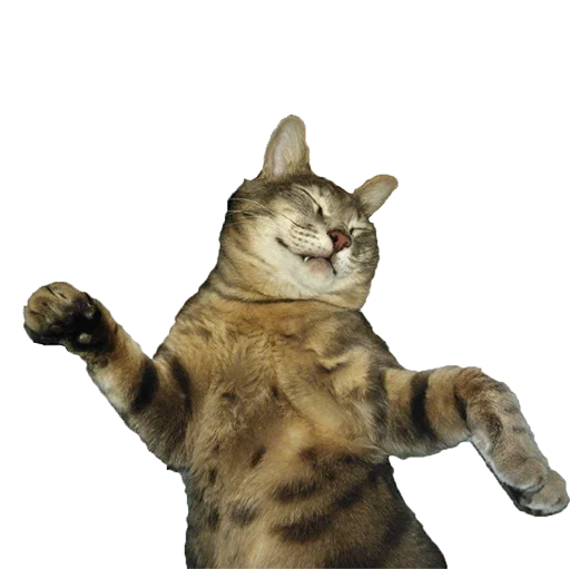 Стикер tishkathepussy - 1