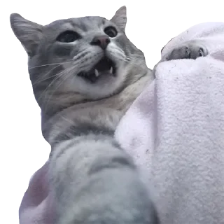 Стикер Tikhon the Lord - 0