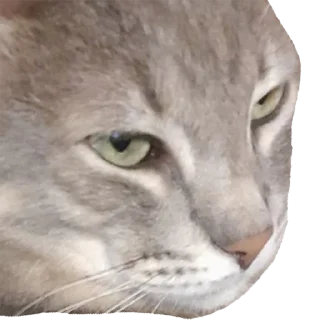 Стикер Tikhon the Lord - 4