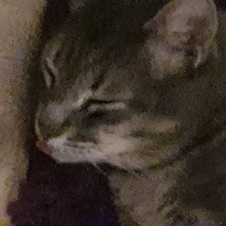 Стикер Tikhon the Lord - 7