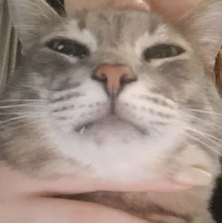 Стикер Tikhon the Lord - 2