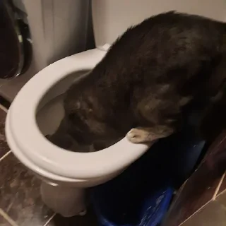 Стикер Tikhon the Lord - 11