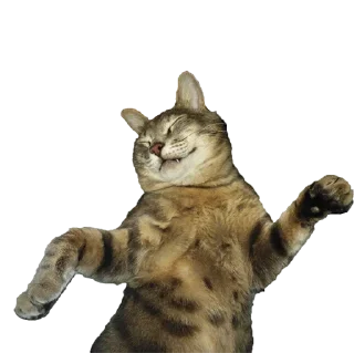 Стикер Tikhon the Lord - 8